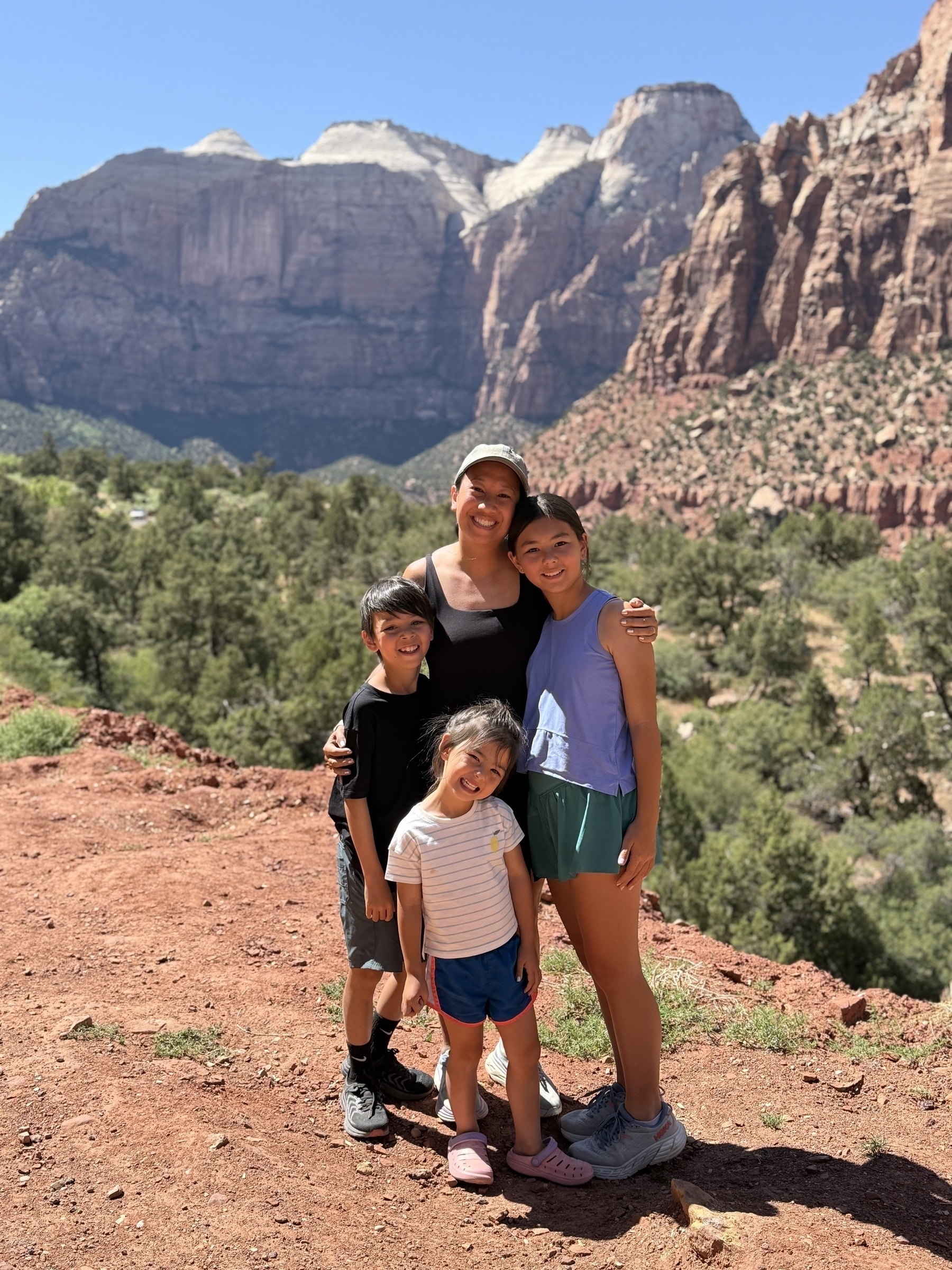 A group of four people are posing for a photo in front of a scenic mountainous landscape with clear blue skies.